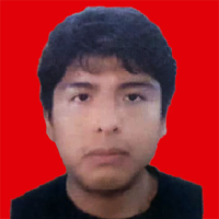 Foto de Joel Ronny Choque Parihuancollo