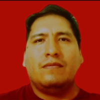 Foto de WILFOR LEONEL