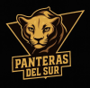 Foto de Panteras del Sur