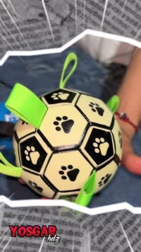 Foto de Alekitos Gatunos